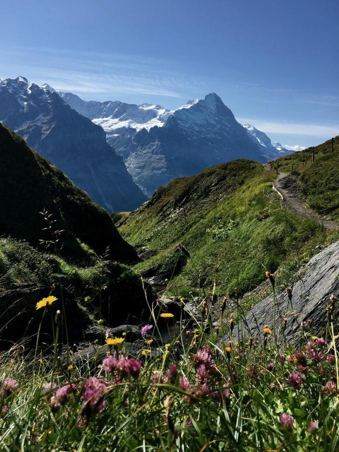 Апартаменты Silberhorn Гриндельвальд Экстерьер фото