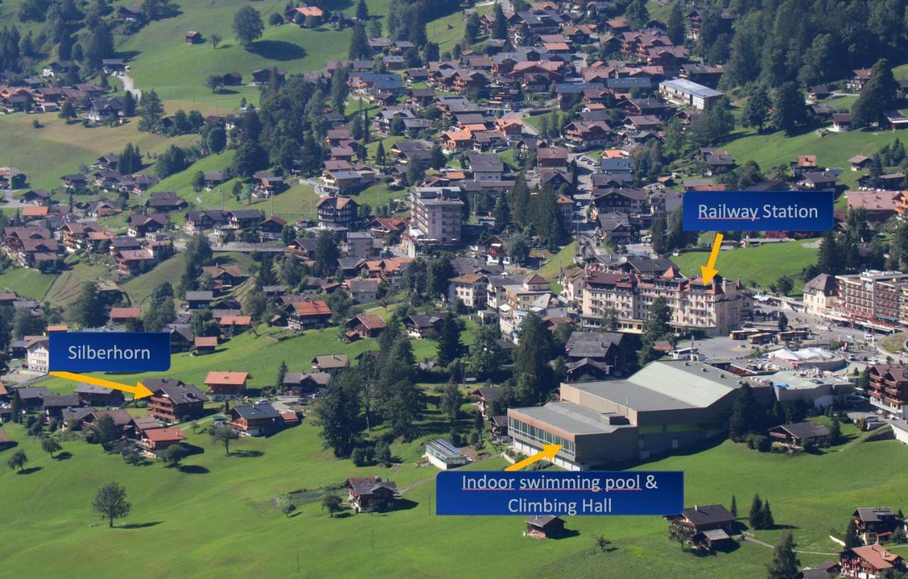 Апартаменты Silberhorn Гриндельвальд Экстерьер фото