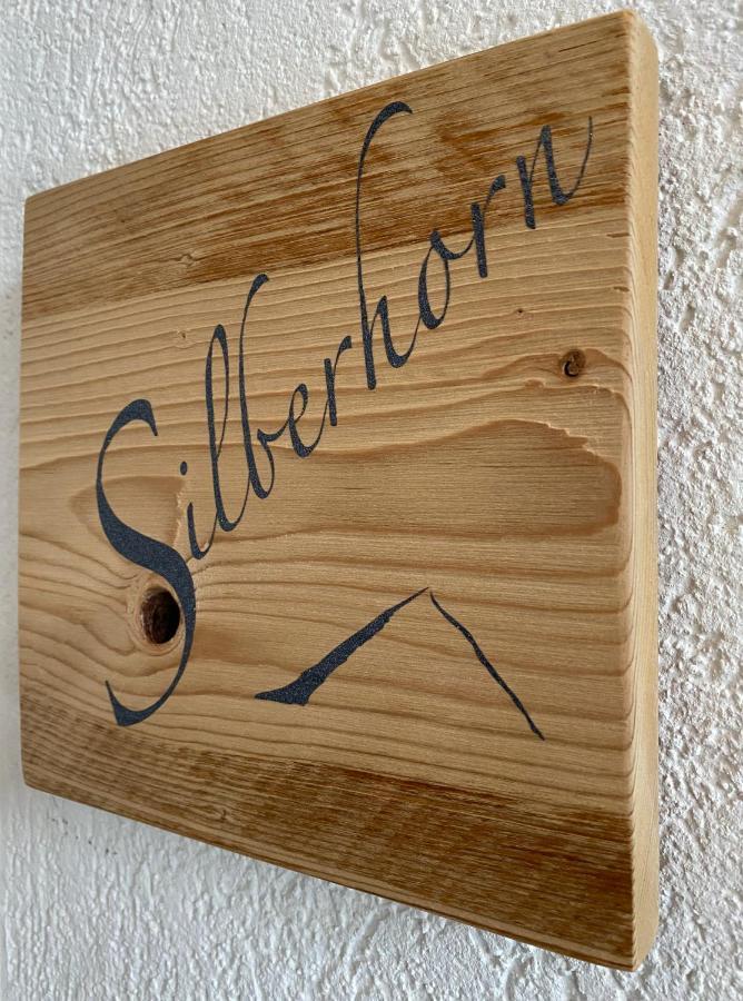 Апартаменты Silberhorn Гриндельвальд Экстерьер фото